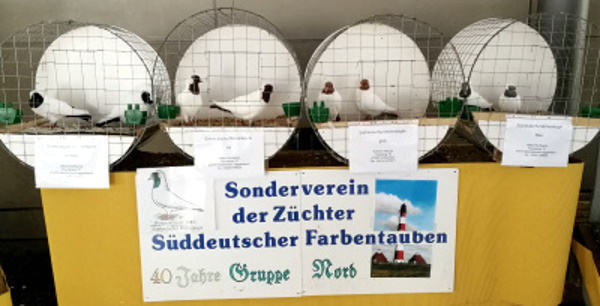 S�ddeutsche Mohrenk�pfe - Blickpunktrasse