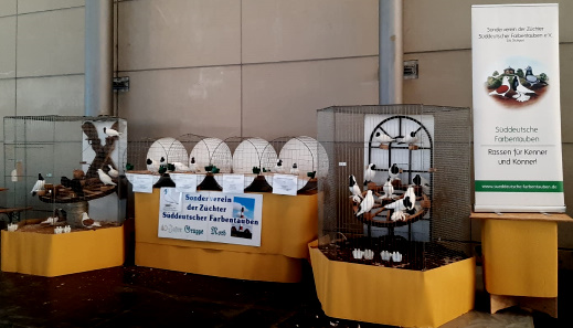 Pr�sentation Voliere