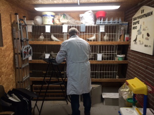 S�ddeutsche Schnippen