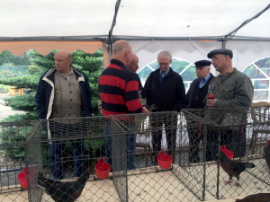 Z�chter Tierbesprechung